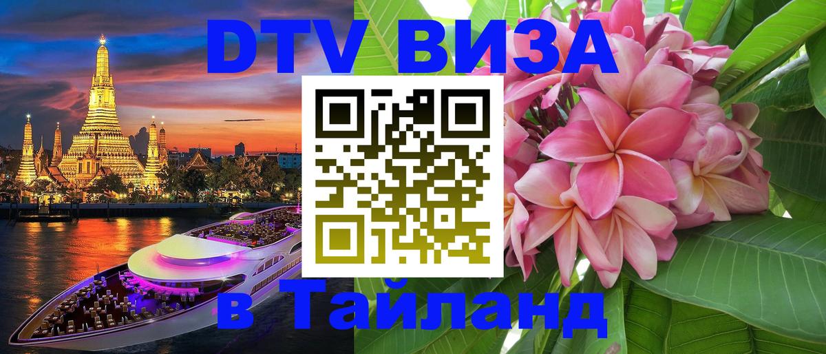 Оформление DTV визы под ключ: стоимость и тарифы, только загранпаспорт - 19.11.2025 